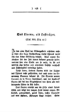 ¬Das¬ Llacma, als Lastträger : Taf. XIII, Fig. 47