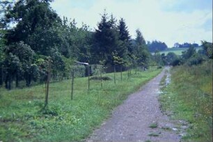 Blick entlang des alten Bahndamms