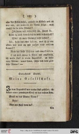 Siebzehntes Kapitel: Meine Gesellschaft