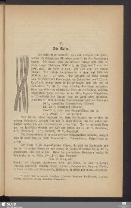 V. Die Seide