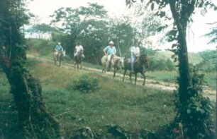 Costa Rica. Reitende Touristen in der tropischen Landschaft