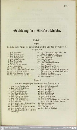 Erklärung der Steindrucktafeln
