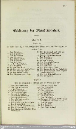 Erklärung der Steindrucktafeln