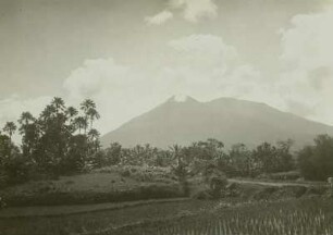 Philippinen, Insel Luzon, Reisfeld und Kokosnuss-Plantagen. Im Hintergrund der erloschene Vulkan Banahaw