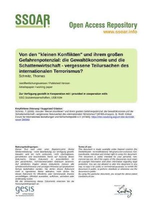 Von den "kleinen Konflikten" und ihrem großen Gefahrenpotenzial: die Gewaltökonomie und die Schattenwirtschaft - vergessene Teilursachen des internationalen Terrorismus?