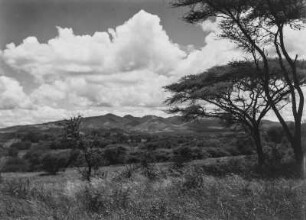 Hügellandschaft : Blick über eine Hügellandschaft in der Region Arusha in Tansania