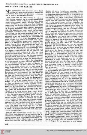 N.F. 11.1931: Die Blume des Fakirs