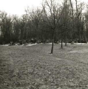 Altdöbern-Reddern. Friedhof. Ansicht der Grabanlagen