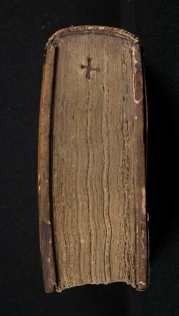 Praeceptorium divinae legis, sive Expositio decalogi