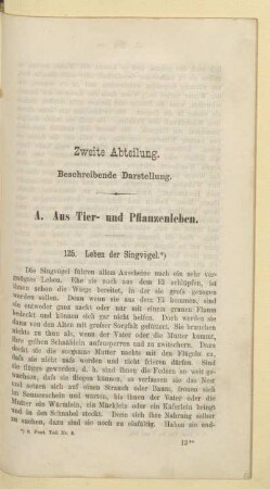 Zweite Abteilung. Beschreibende Darstellung