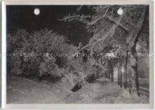 Winterlandschaft, Rauhreif