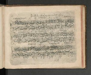 Zum Unterricht ad pag. 182 und 188. zugehörig.