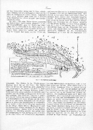 Abb. 2. Die Maulbeerbaum-Plantage