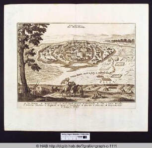 Alba Regalis oder Stuhlweissenburg