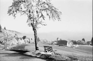 Saig: Weg oberhalb Saig; mit Blick auf Ort
