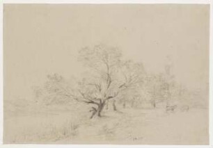 Landschaft mit weidenden Kühen