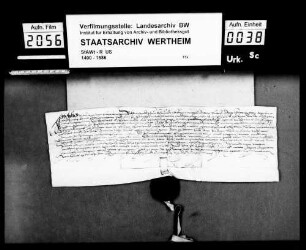 Philipp Schlüchterer von Erpfenstein bekennt, dass ihm Graf Wolfgang zu Löwenstein (Lowenstain), Herr zu Scharfeneck (Scharpfenneck), die halbe Hubner-Mühle zu Freimersheim verliehen hat.
