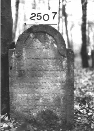Grabstein 2507