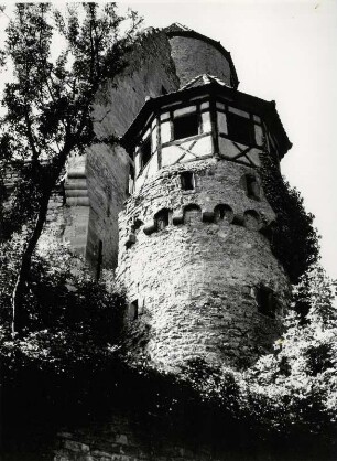 Schloßes Horneck bei Gundelsheim am Neckar