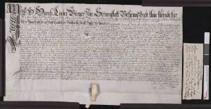Lehnrevers des Hans Linder von Steinenstadt gegenüber dem Basler Domkapitel.