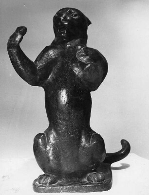 Schwarzer Panther