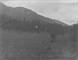 Bewaldeter Berghang : Blick auf einen bewaldeten Berghang