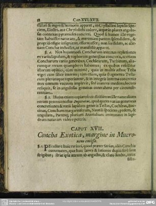 Caput XVII. Concha Exotica, margine in Mucronem emissa