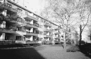 Freiburg: Hof mit Birken; Offenburger Straße