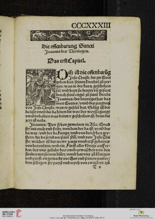 Die offenbarung Sancti Joannis des Theologen