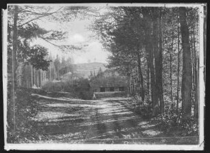 Beneschau. Blick von Osten