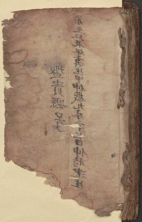 Guan sha bai zhong jing