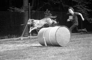 Verein der Hundefreunde Karlsruhe e.V. Hundesportwettbewerb für Jugendliche