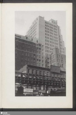 6. Avenue