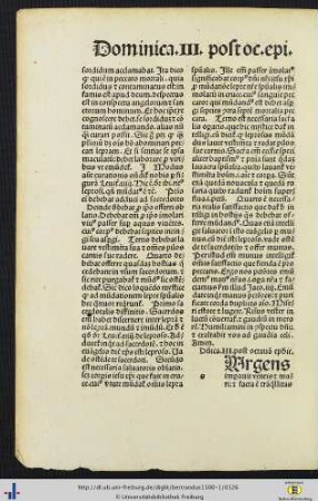Dominica III. post octavia epiphanie, Sermones I-III