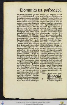 Dominica III. post octavia epiphanie, Sermones I-III