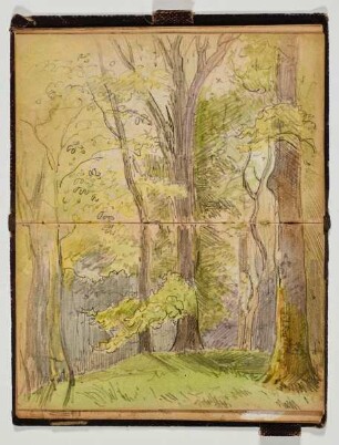 Wald