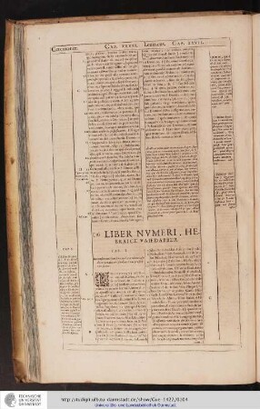 Liber Numeri, Hebraice Vaiedabber