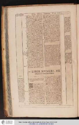 Liber Numeri, Hebraice Vaiedabber