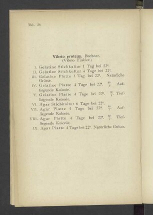 Tab. 56 Vibrio proteus