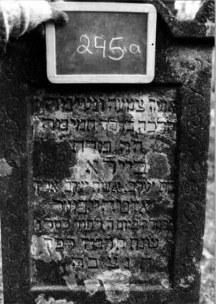 Grabstein 245 [Nir S. 162 Nr. 15.17]: Grabstein 245 (Detailaufnahme) [Nir S. 162 Nr. 15.17]