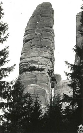 Sächsische Schweiz, Affensteine. Bloßstock. Seilschaft Rudolf Klemm in der Rinnenfolge des mittleren Wandteils bei der Erstbegehung der Westwand (VIIb [VIIc])