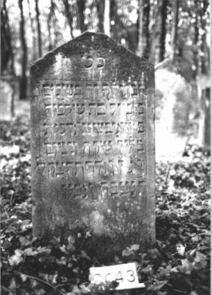 Grabstein 2043