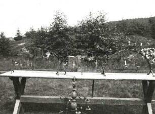 Johanngeorgenstadt, Grube Vereinigt Feld, Erzwäsche. Drei Schwibbögen und eine Leuchterspinne, wohl 19. Jh.