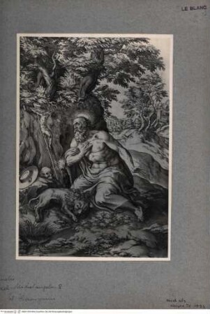 Der Heilige Hieronymus