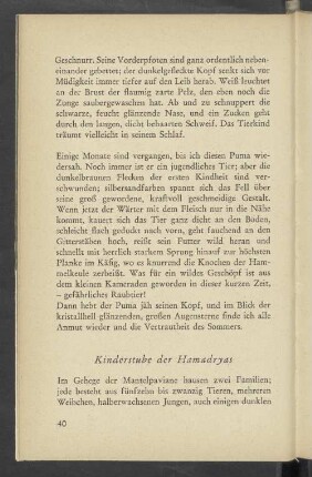 Kinderstube der Hamadryas