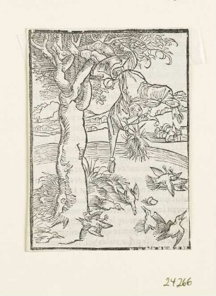 Von Eygenrichtikeit, aus: Sebastian Brant, "Stultifera Navis", Basel 1498, S. CXL recto