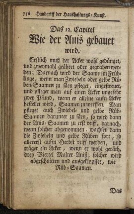 12. Wie der Anis gebauet wird