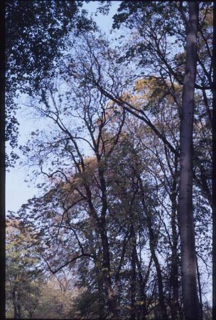Berlin, Park Klein-Glienicke