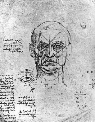 Proportionsstudien zu Gesicht und Auge