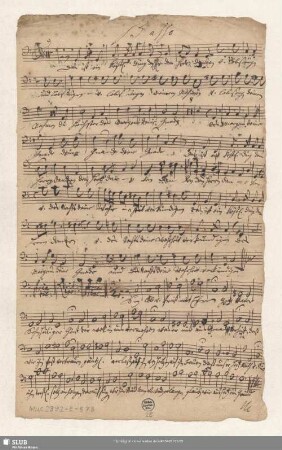 Basso [Ripieno]